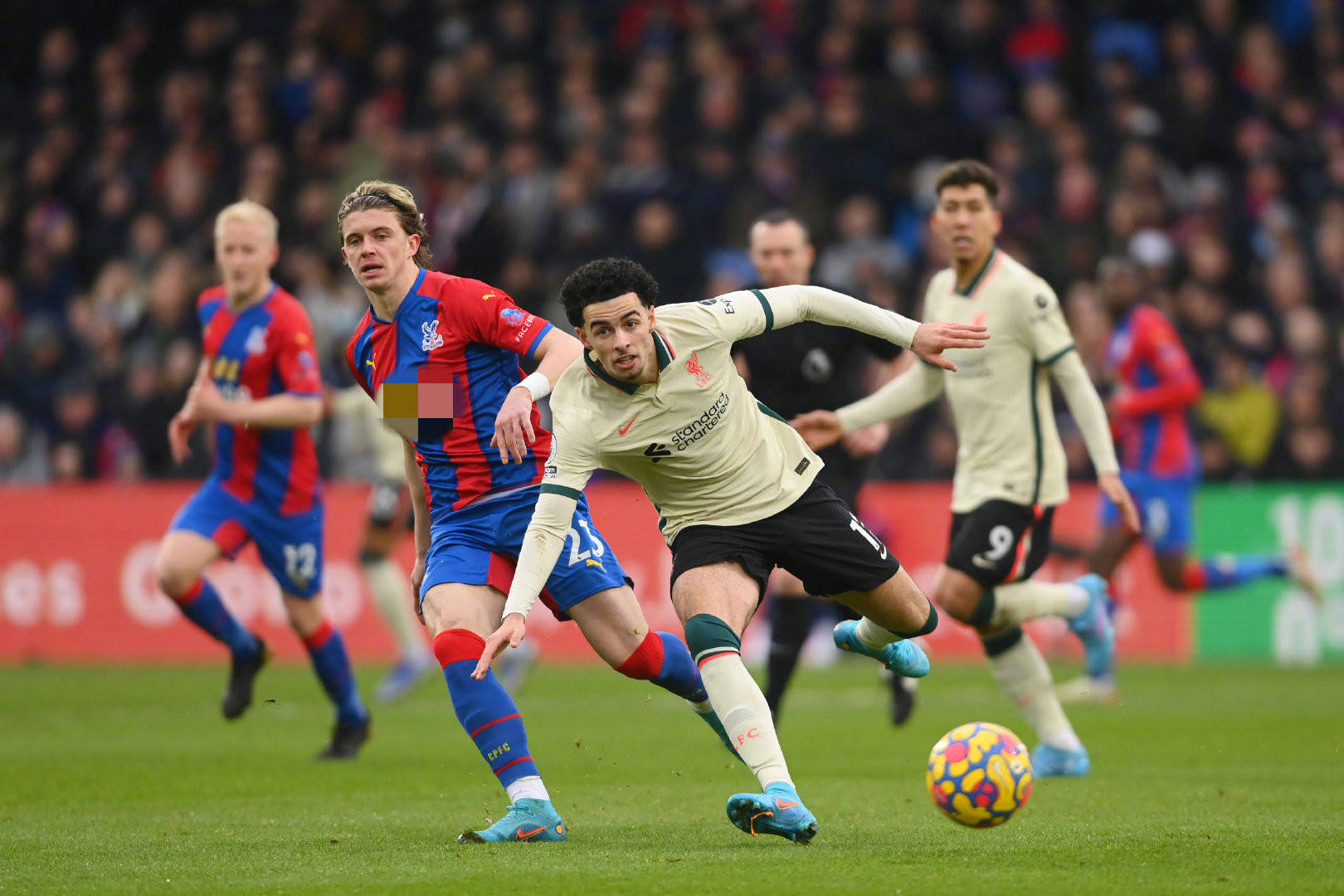 他在津门虎 他在津门虎